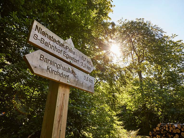 Natur pur: Wandern und Radfahren im Deister